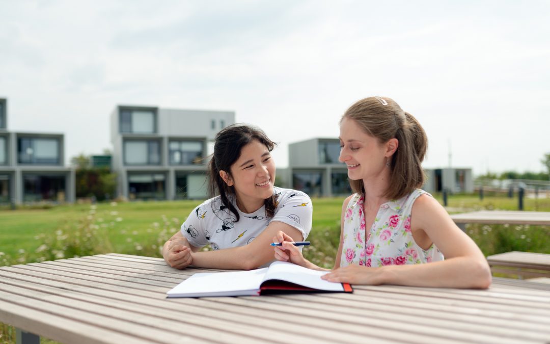 What Makes a Successful Student-Tutor Combination?