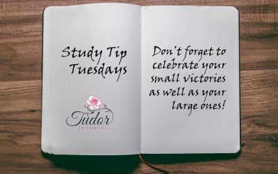 4. Don’t Forget to Celebrate Your Small Victories as Well as Your Large Ones