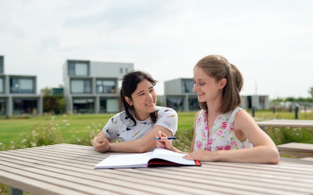 How to Supplement School Learning With Tutoring Sessions